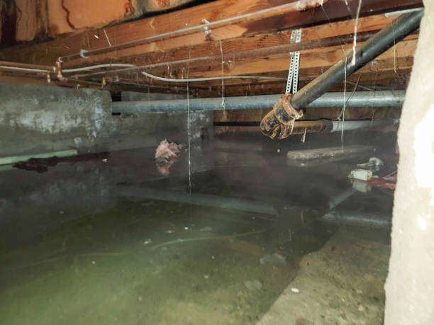  Lake Erie Beach, NY Water damage restoration Pros