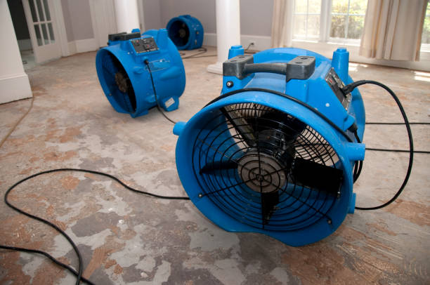 Best Water damage restoration near me  in Lake Erie Beach, NY