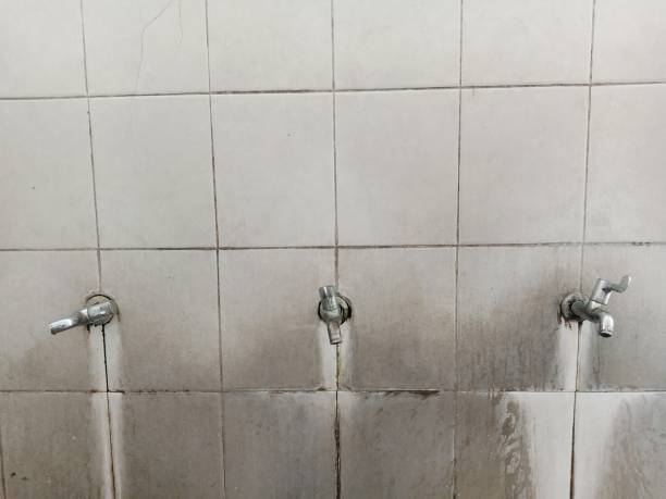 Best Residential water damage restoration  in Lake Erie Beach, NY