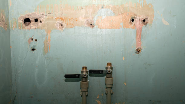Best Ceiling water damage repair  in Lake Erie Beach, NY