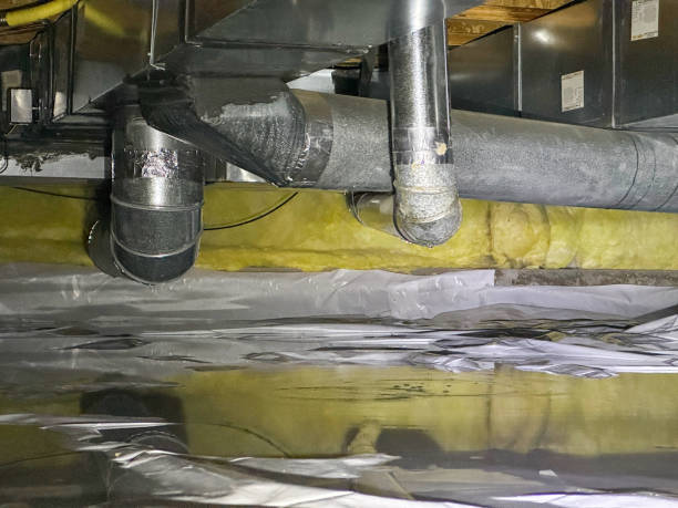 Best Flooded house restoration  in Lake Erie Beach, NY