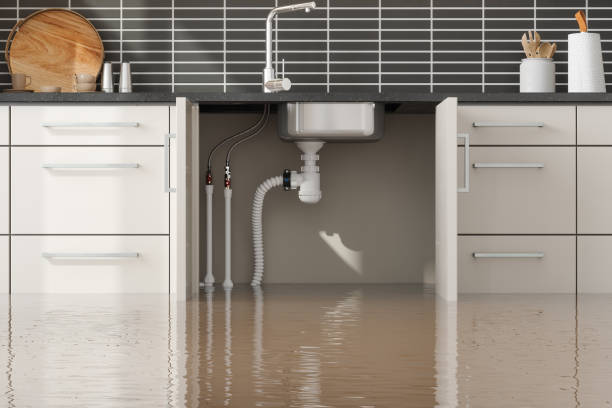 Best 24/7 water damage repair  in Lake Erie Beach, NY