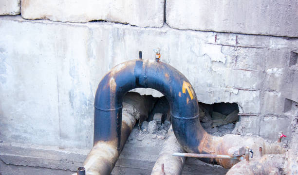 Best Water damage cleanup near me  in Lake Erie Beach, NY