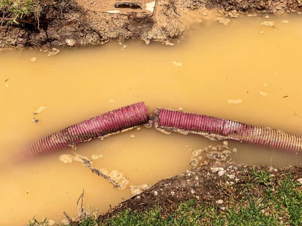 Best Water damage contractors near me  in Lake Erie Beach, NY