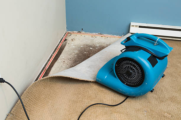 Best Local water damage restoration  in Lake Erie Beach, NY